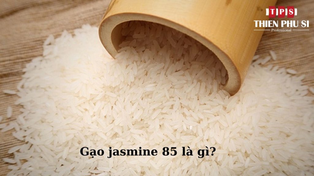 gao-jasmine-85-la-gi