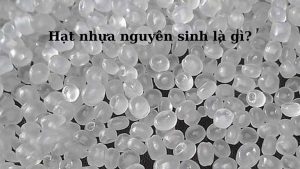 hat-nhua-nguyen-sinh-la-gi