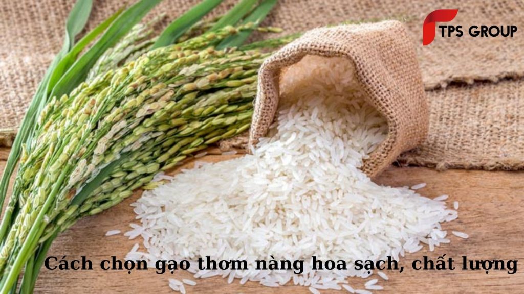 cach-chon-gao-thom-nang-hoa-sach-chat-luong