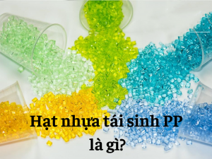 hat-nhua-tai-sinh-PP-la-gi