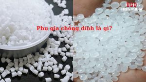phu-gia-chong-dinh-la-gi