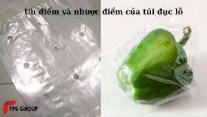 uu-diem-va-nhuoc-diem-cua-tui-duc-lo