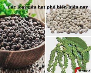 cac-loai-tieu-hat-pho-bien-hien-nay