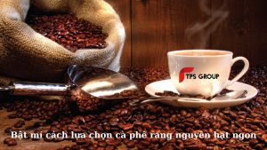 cach-lua-chon-ca-phe-rang-nguyen-hat-thom-ngon