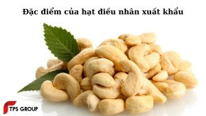 dac-diem-cua-hat-dieu-nhan-xuat-khau