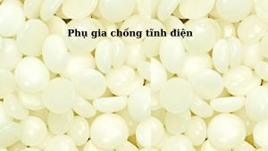 phu-gia-chong-tinh-dien-la-gi