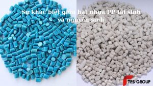 su-khac-biet-ve-chat-luong-cua-nhua-pp-tai-sinh-va-nguyen-sinh