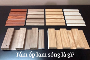tam-op-lam-song-la-gi