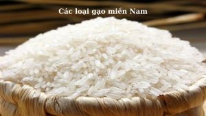 cac-loai-gao-mien-nam-hinh-2