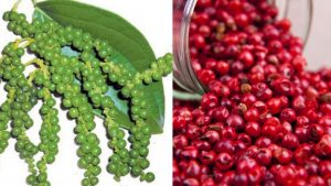 cac-loai-hat-tieu-hinh-3