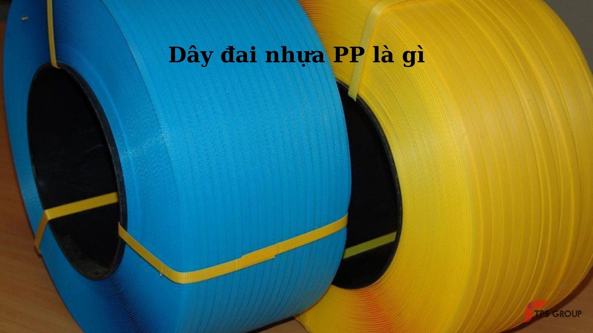 day-dai-nhua-pp-la-gi-hinh-1