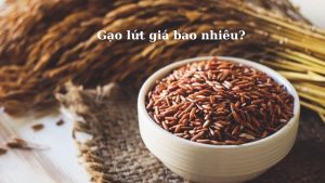 gao-lut-gia-bao-nhieu-hinh-1