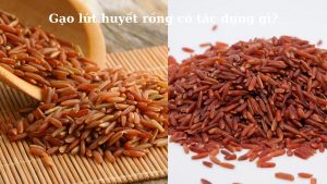 gao-lut-huyet-rong-co-tac-dung-gi-hinh-1