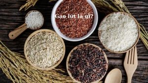 gao-lut-la-gi-hinh-1