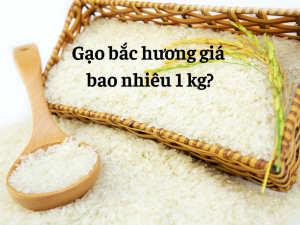 gia-gao-bac-huong-hinh-2