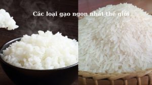 loai-gao-ngon-nhat-the-gioi-hinh-2