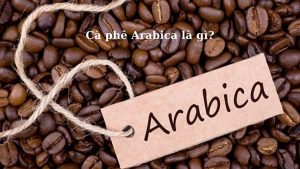 ca-phe-arabica-la-gi-hinh-1