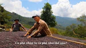 ca-phe-nha-la-ca-phe-nhu-the-nao-hinh-2