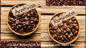 ca-phe-robusta-va-arabica-loai-nao-ngon-hon-hinh-1