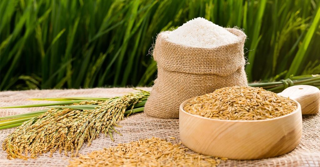 cách bảo quản gạo được lâu, không bị mọt